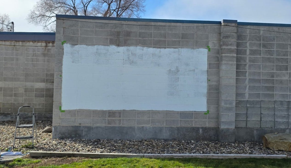 Dream Big mural 6