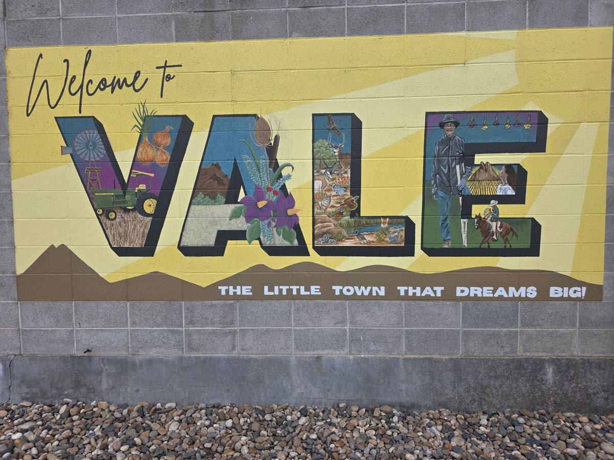 Large Dream Big mural